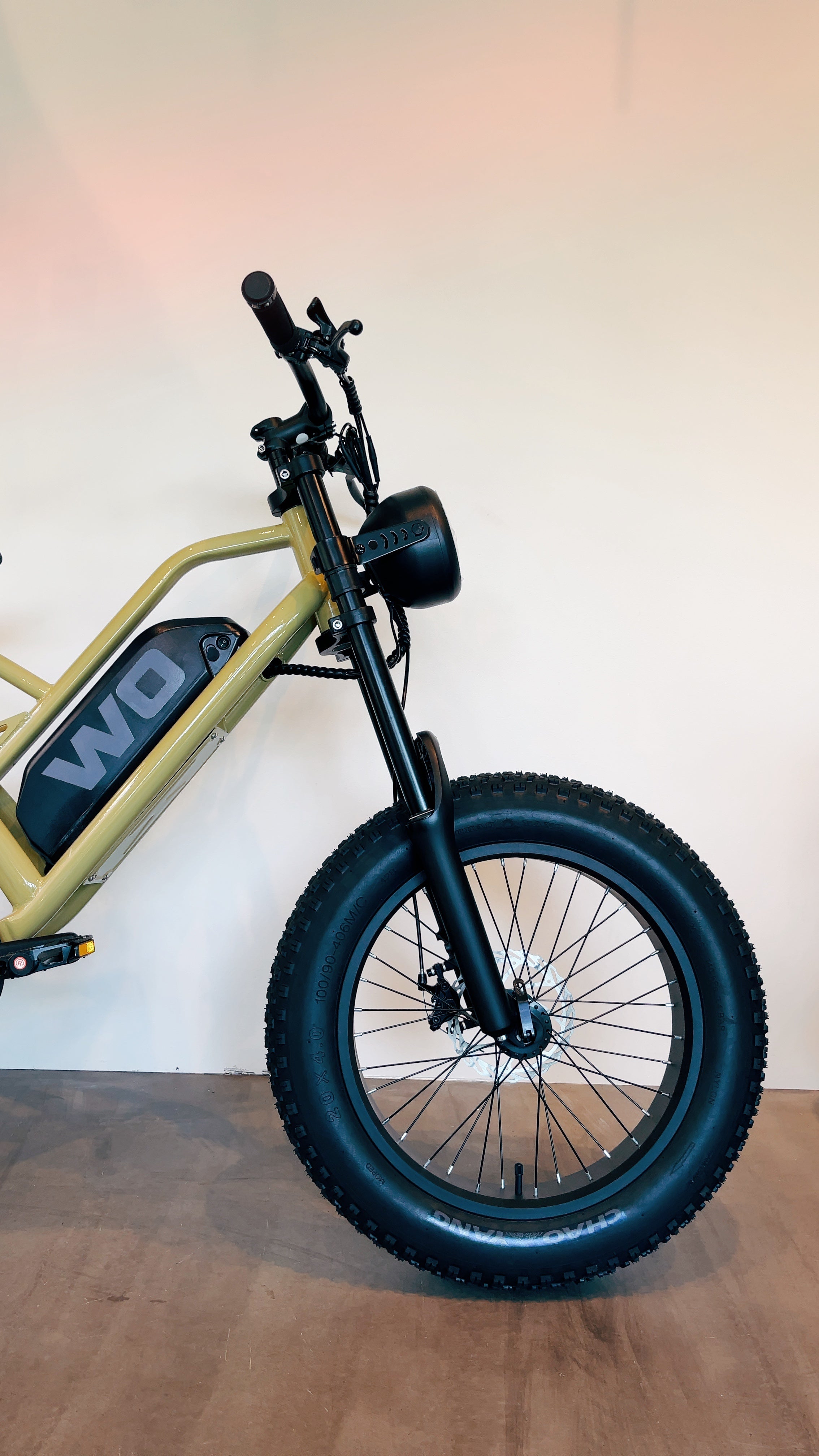 WO M2Xファットタイヤ入荷 – wobikes