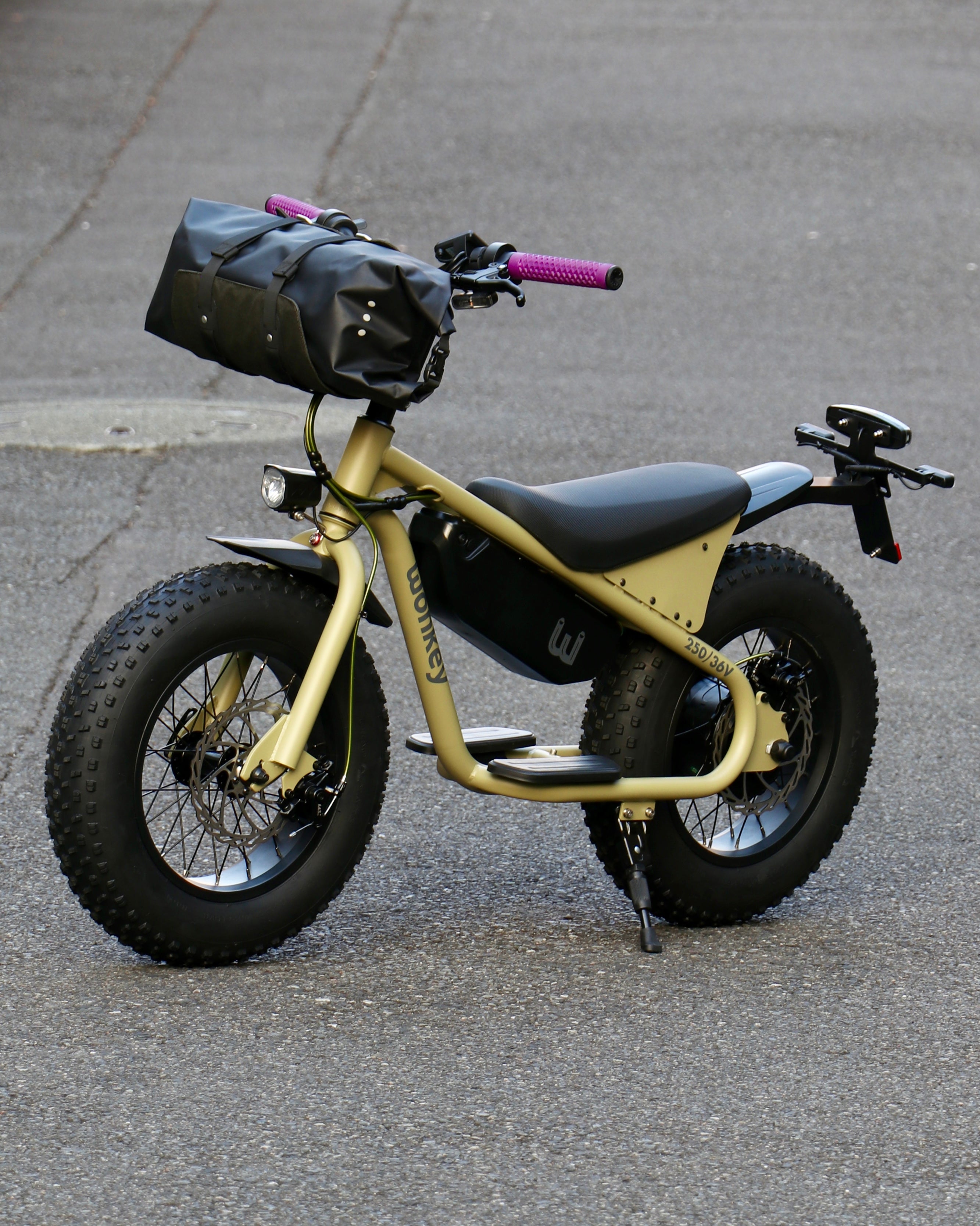 WONKEY 36V MOSS カスタム完成車 – wobikes