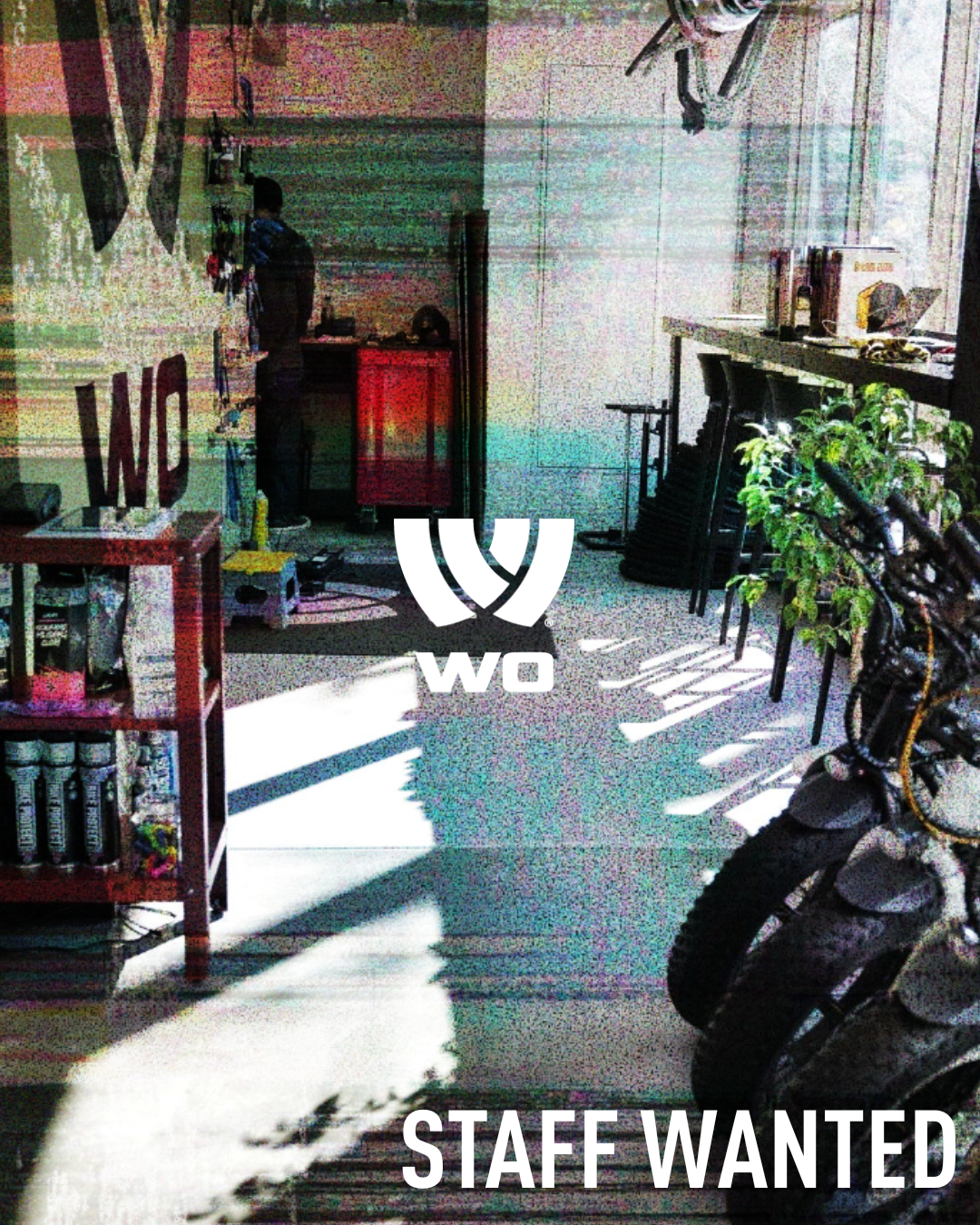 スタッフ募集｜WO