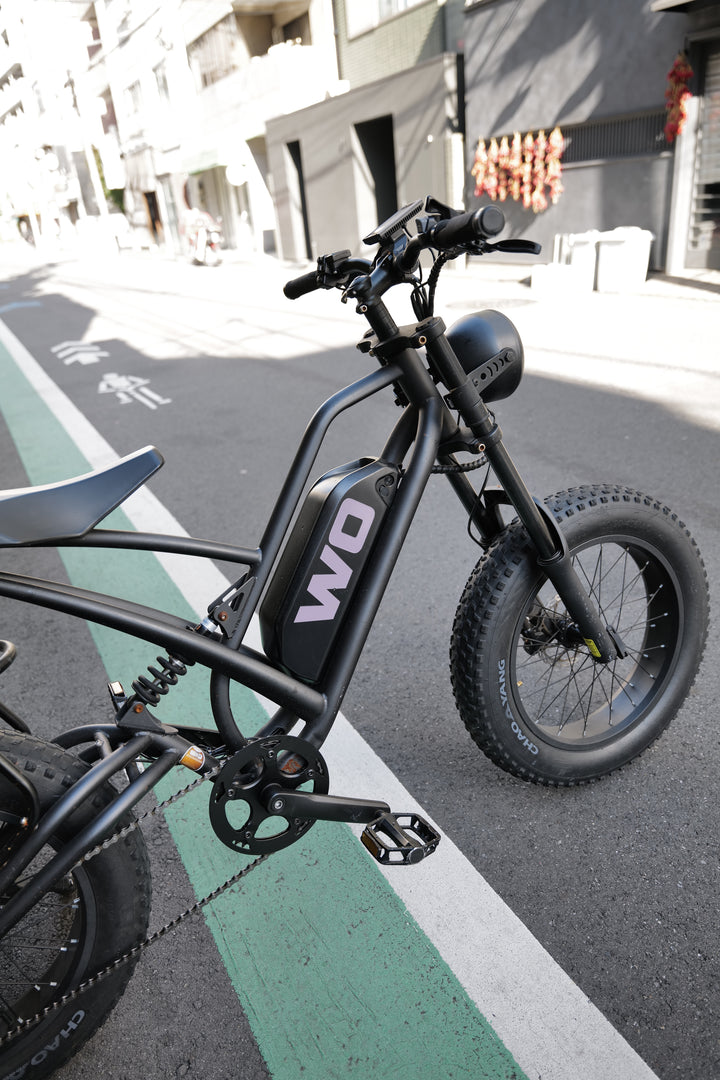 WO M2X REGULAR HYDRAULIC BRAKE  MAT BLACK　試乗車