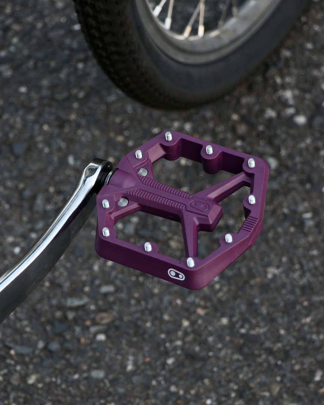 GLISSE MOSS CUSTOMBIKE
