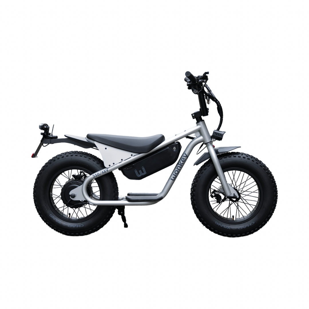 WONKEY 48V Matte SILVER