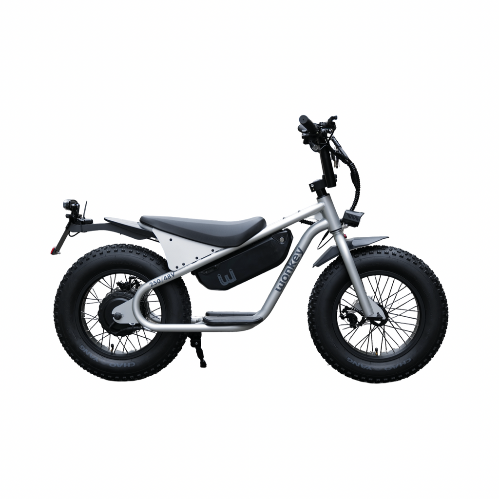 WONKEY 48V Matte SILVER – wobikes