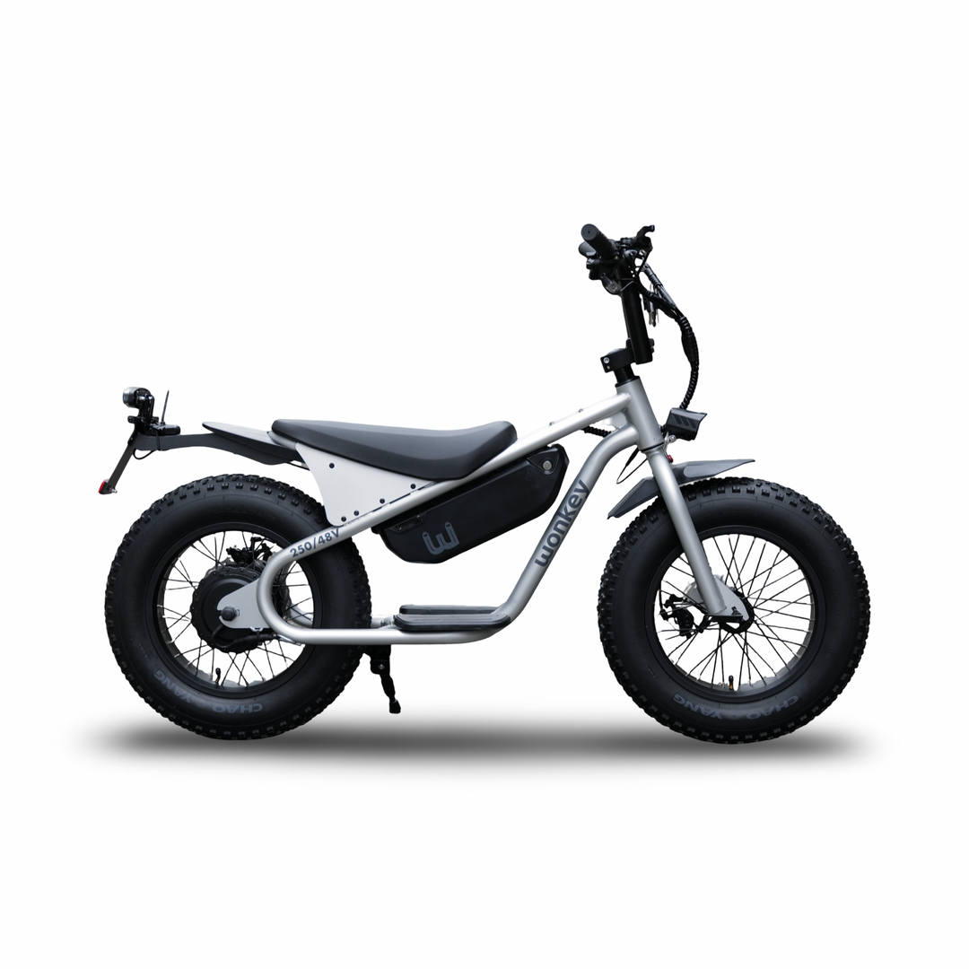 WONKEY Matte SILVER – wobikes WONKEY Matte SILVER – wobikes