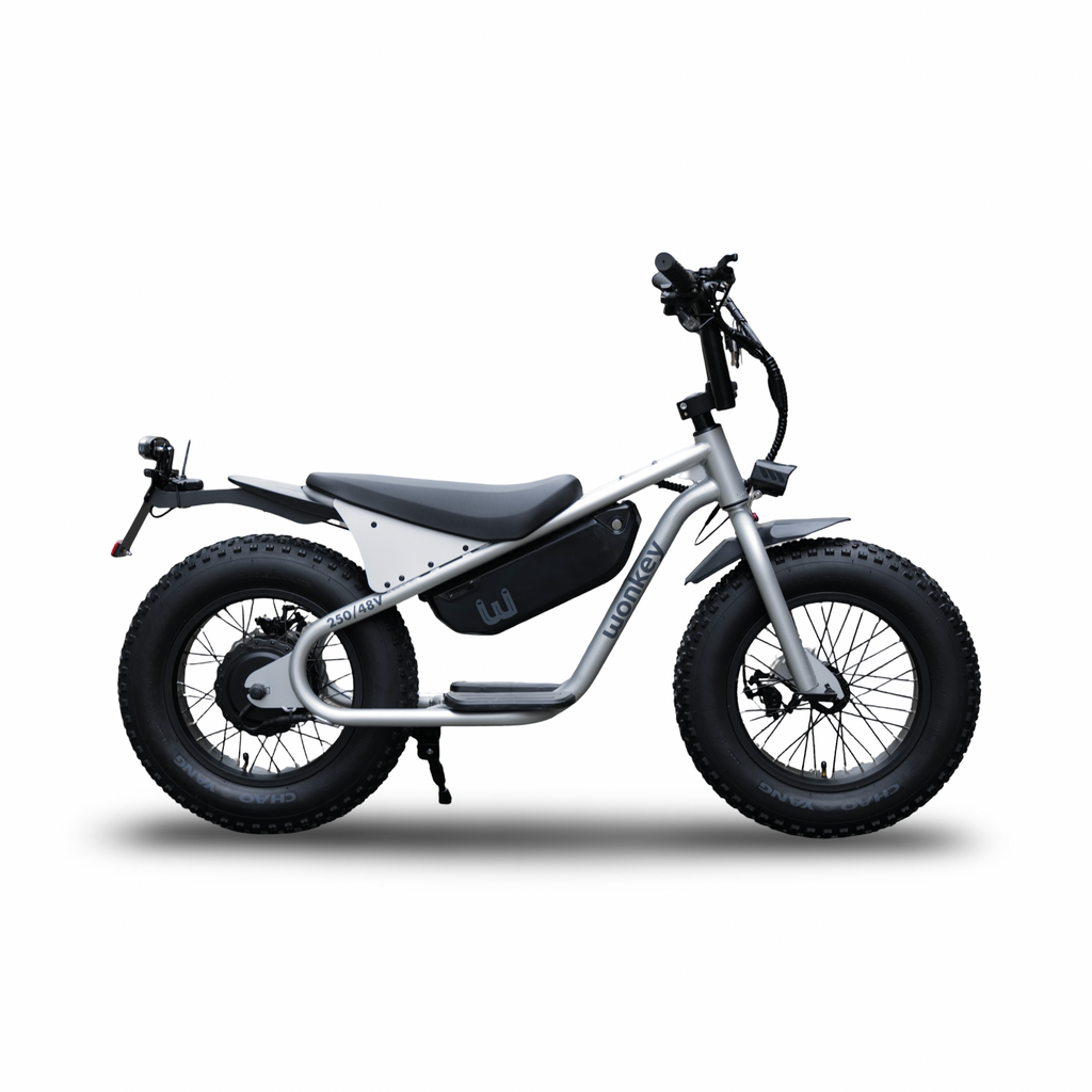 WONKEY Matte SILVER – wobikes