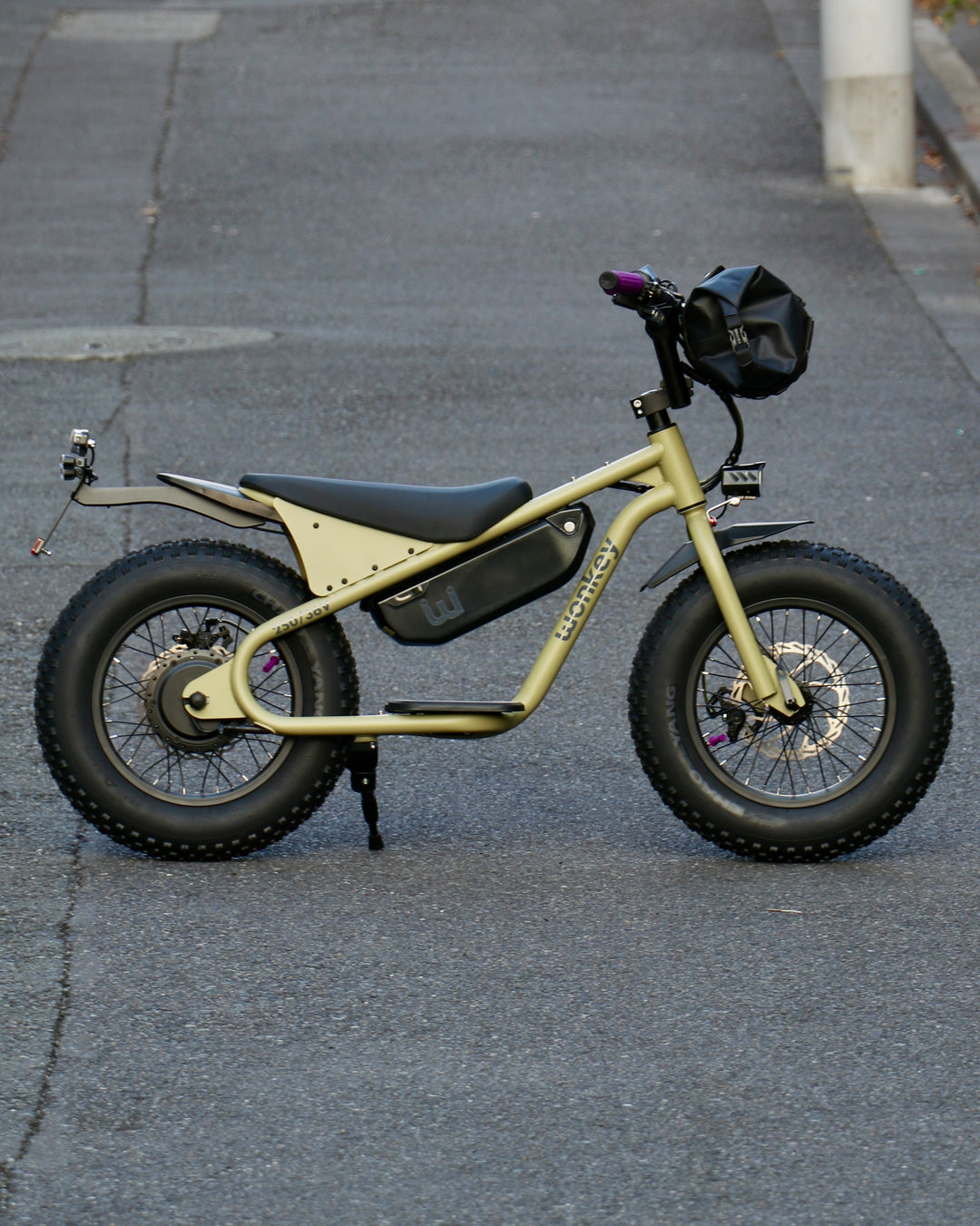 WONKEY 36V MOSS カスタム完成車