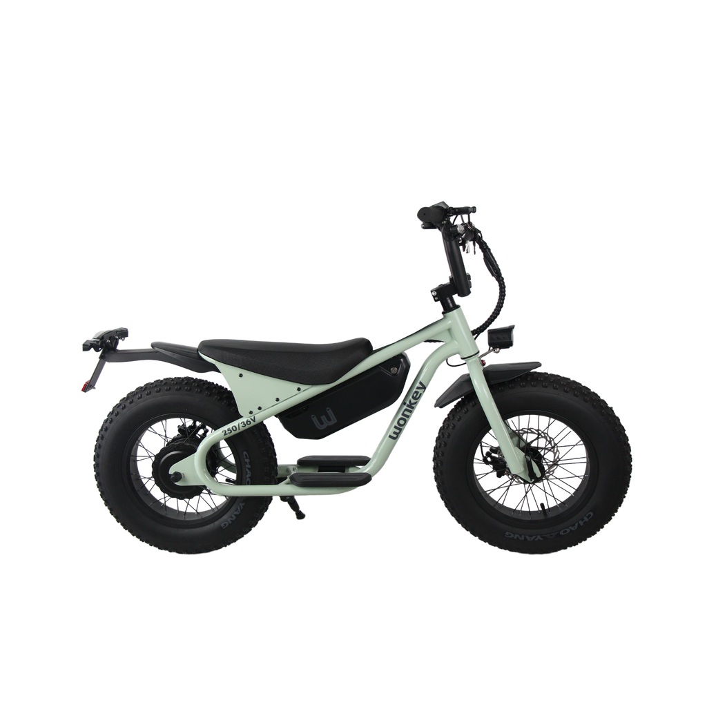 WONKEY MATTE PISTACHIO – wobikes